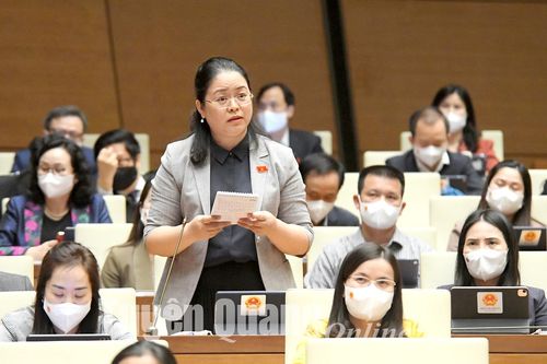 ĐBQH tỉnh chất vấn Bộ trưởng Bộ Lao động - Thương binh và Xã hội