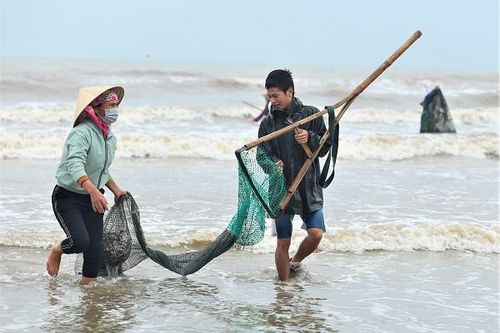 Hà Tĩnh: Người dân đổ xô ra biển vớt 'lộc trời'