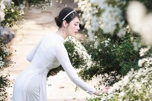 9X Phú Thọ đẹp tinh khôi bên hoa cúc họa mi