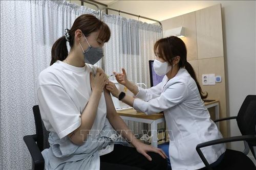 Hàn Quốc ra mắt ủy ban độc lập đánh giá an toàn vaccine ngừa COVID-19