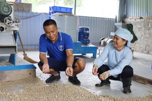 Giảm chi phí từ khâu tự sản xuất thức ăn chăn nuôi