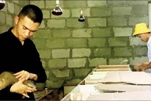 Kinh tế 'Xây lầu' cho dúi