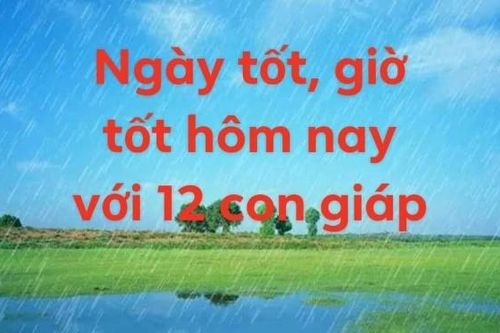 Xem ngày tốt giờ tốt hôm nay 13/11/2021 với 12 con giáp
