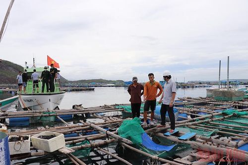 Để tàu cá ra vào khu neo đậu tránh trú bão vịnh Xuân Đài an toàn