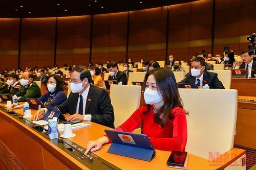 Giữ ổn định 3,5 triệu ha đất trồng lúa đến năm 2030