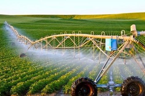 Vai trò của doanh nghiệp đầu tư vào sản xuất nông nghiệp công nghệ cao