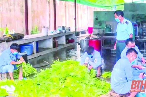 Việc làm cho người nghiện sau cai: Nhiều khó khăn cần tháo gỡ