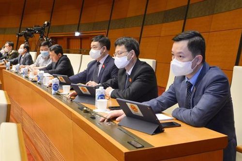 Thanh Hóa được tự quyết chuyển mục đích sử dụng đất rừng đặc dụng dưới 50 ha