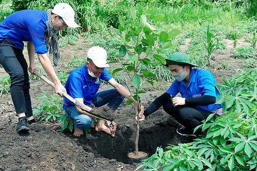 Góp sức trẻ 'Vì một Việt Nam xanh'