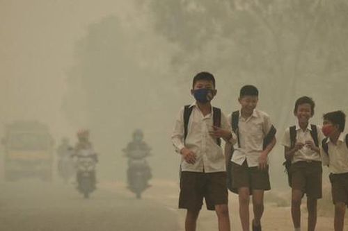 Hậu quả nhãn tiền của ô nhiễm môi trường đến sức khỏe con người