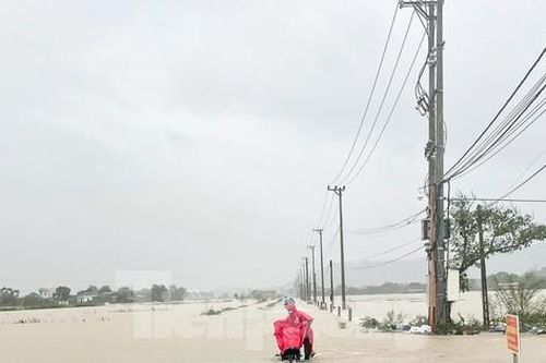 Mưa lớn kéo dài, nhiều nơi ở Bình Định ngập trong biển nước
