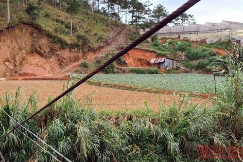 Ba người trong gia đình tử vong khi kích điện bắt cá tại Đà Lạt