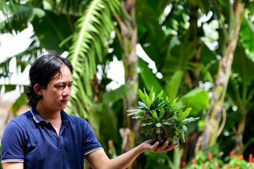 Chàng trai phụ hồ khiến cộng đồng mạng trầm trồ khi 'biến' cây giả sống động như thật