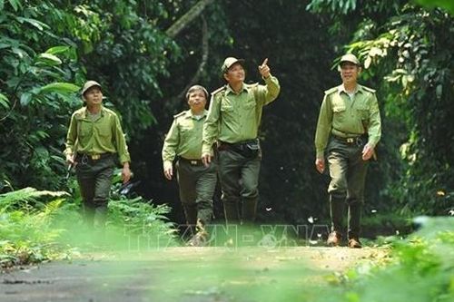Khai mạc Cuộc thi viết 'Cúc Phương - 60 năm xây dựng và phát triển'