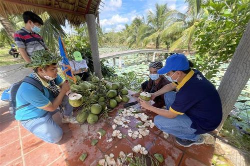 Xứ dừa Bến Tre khởi động mở cửa đón khách du lịch nội địa