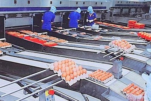 Dự báo sức mua dịp Tết Nhâm Dần và mối lo của doanh nghiệp, tiểu thương