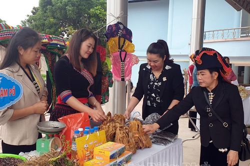 Khẳng định vai trò, vị thế của phụ nữ Điện Biên trong thời kỳ mới