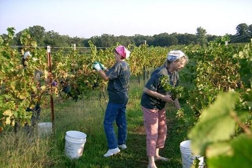 Canada: Nông dân là 'lực lượng tuyến đầu' chống biến đổi khí hậu