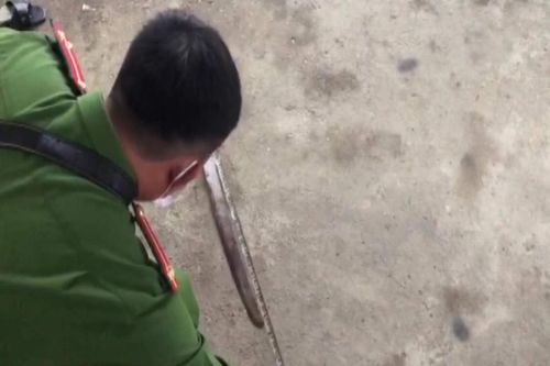 Cãi nhau với cha, 'ma men' phóng dao khiến cháu bé 4 tuổi thiệt mạng