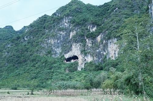 Kì lạ nghề nhặt phân 'vua'