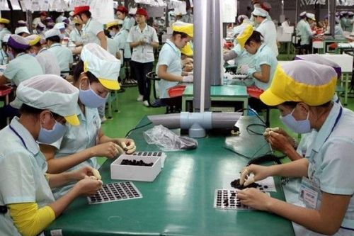 Quảng Ngãi: Tập trung giải quyết việc làm cho lao động hồi hương