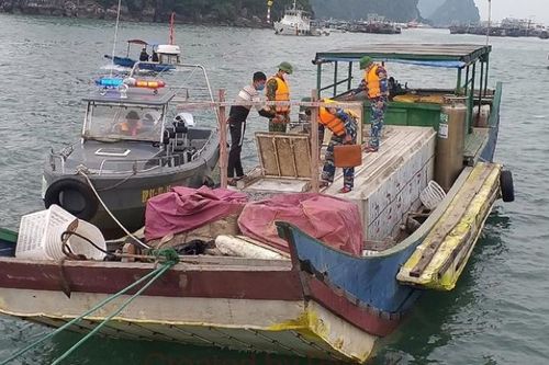 Quảng Ninh: Bắt giữ bè mảng chở 2,3 tấn cá tầm không rõ nguồn gốc