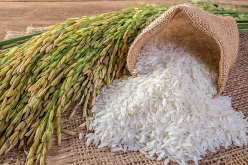 Giá gạo thô và lúa mì trên Sở Chicago tiếp tục xu hướng tăng