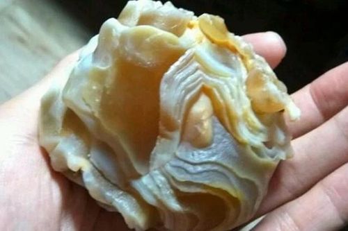 Đi rừng nhặt được viên 'gân bò', vỡ òa khi biết giá trị thật