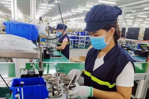 Cán bộ sợ sai sót đã làm giảm hiệu quả của các chính sách tài khóa