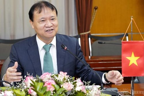 Việt Nam - Cộng hòa Séc: Tăng cường hợp tác trong lĩnh vực sản xuất ô tô