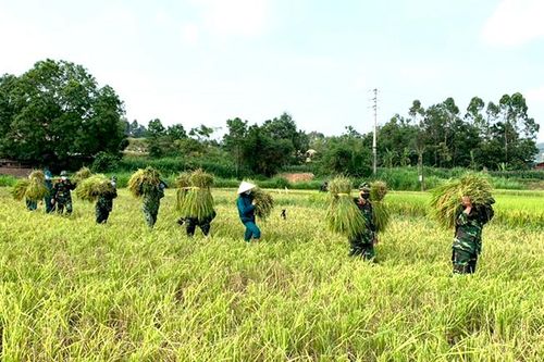 Noi gương Bác bằng những việc làm thiết thực