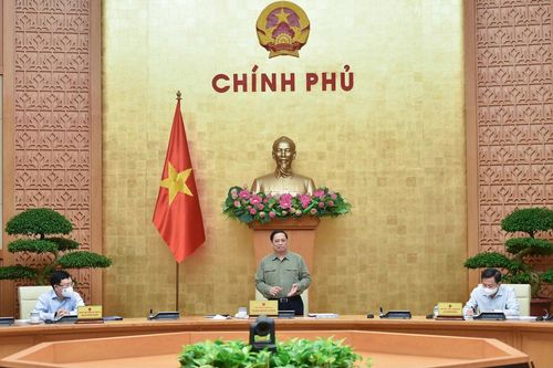 Đẩy mạnh các hoạt động phục hồi, phát triển kinh tế-xã hội
