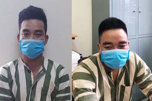 Gia Lai: Bắt giữ 2 đối tượng khai thác gỗ hương trái phép