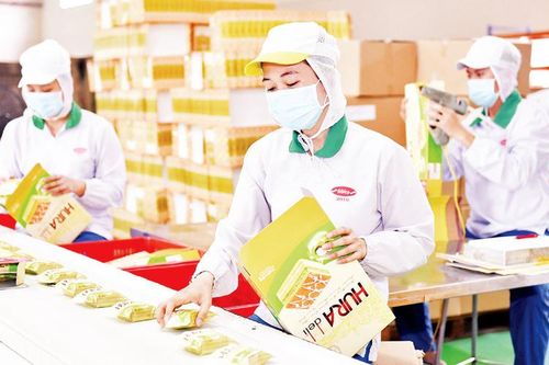 Gần 11,8 triệu người nhận hỗ trợ theo Nghị quyết 116