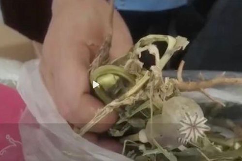 Cho hoa này vào súp câu khách, chủ quán tái mặt khi lộ chuyện