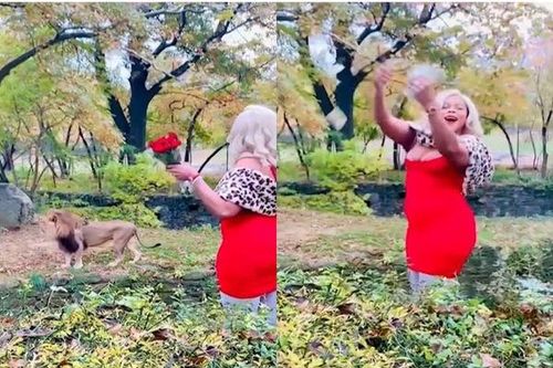 Hy hữu: Người phụ nữ trèo rào, vẫy hoa, ném tiền để trêu... sư tử