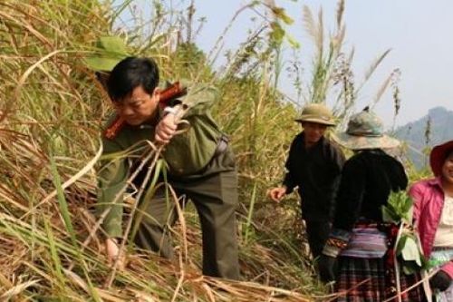 'Bốn cùng' với nhân dân, bảo vệ bình yên biên giới