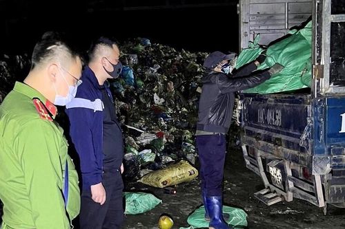 Quảng Ninh: Tiêu hủy hơn 4 tấn chân gà đông lạnh không rõ nguồn gốc