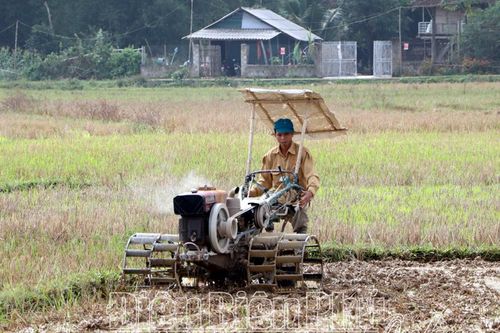 Sản xuất nông nghiệp trong tình hình mới
