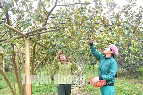 Đảng bộ mạnh từ những chi bộ tốt ở Yên Nguyên