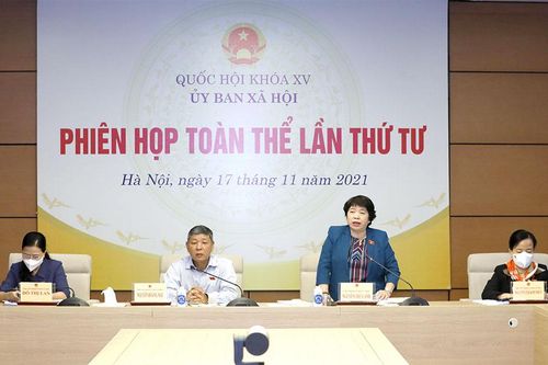 Ủy ban Xã hội họp phiên toàn thể lần thứ tư