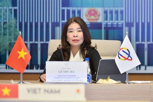 Đoàn đại biểu Quốc hội Việt Nam dự phiên họp chuẩn bị văn kiện hội nghị APPF-29