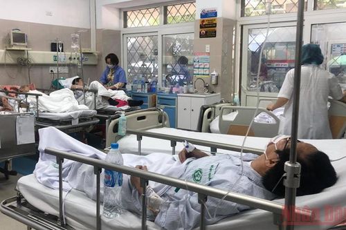 Tuần lễ nâng cao nhận thức về kháng kháng sinh toàn cầu
