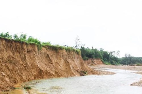Quảng Ngãi: Sạt lở nghiêm trọng bờ sông Trà Bồng