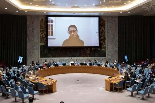 Việt Nam kêu gọi các bên tại Afghanistan tuân thủ đầy đủ nghĩa vụ của luật nhân đạo quốc tế