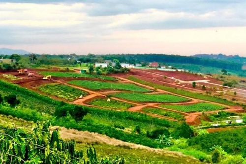 GM Holdings: Công ty chỉ 5 nhân viên, quảng cáo rầm rộ kinh doanh BĐS nhưng thực chất là dự án 'trên giấy'?