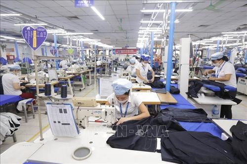 Dệt may có thể khởi sắc trong năm 2022