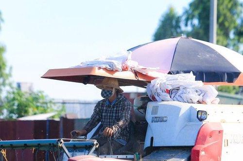 Chuyển đổi số nông nghiệp Việt và bài học 'tam giác quan hệ' từ Israel