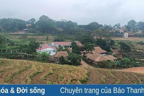 Vắng khách, nhiều hộ làm du lịch cộng đồng tại bản Đôn buộc phải chuyển đổi nghề nghiệp