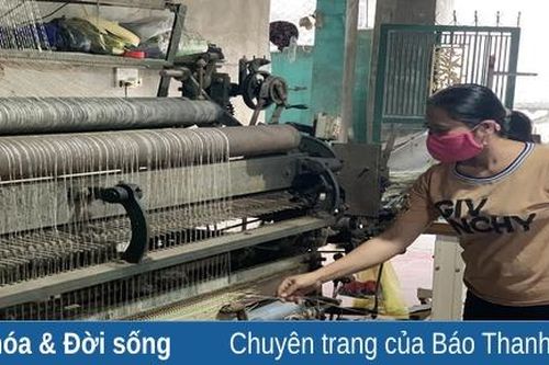 Nghề cói ở Nga Sơn